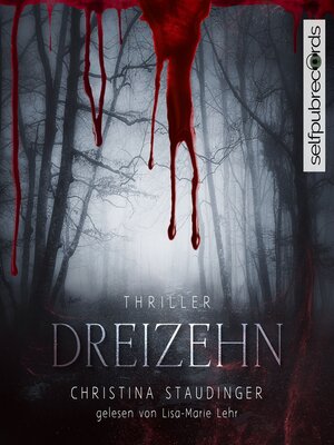 cover image of Dreizehn